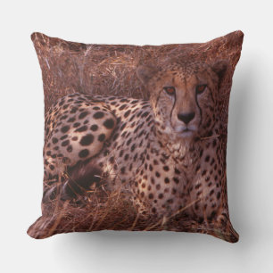 Cheetah Stare Throw Pillow