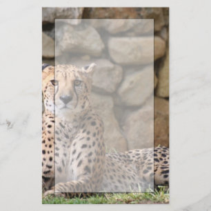 Cheetah Stationery