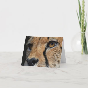 Cheetah Thank You Card