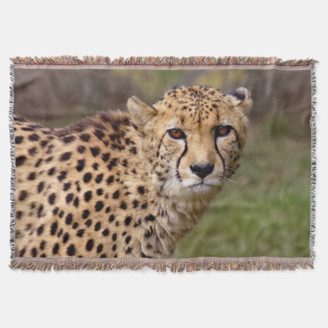 Cheetah Throw Blanket (Front)