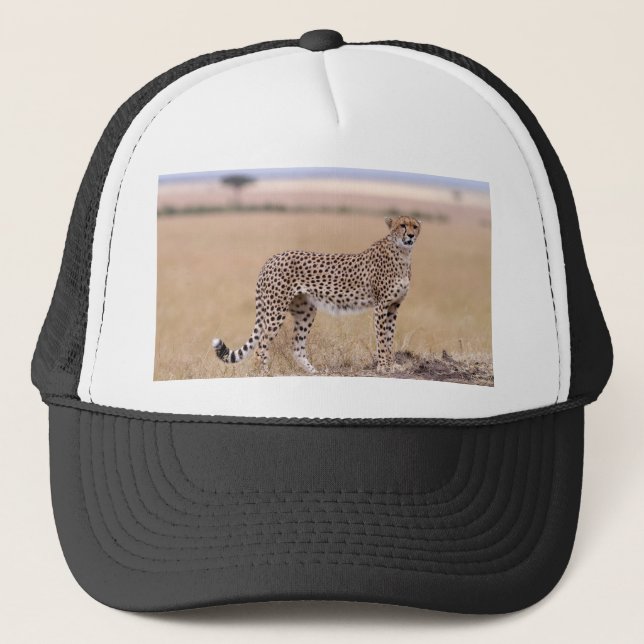 Cheetah Trucker Hat (Front)
