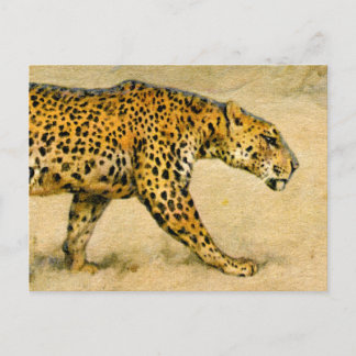 Cheetah vintage pastel drawing postcard