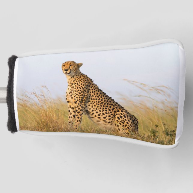 Cheetah wild animal Big Cat photo Golf Head Cover (Front)