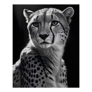 Cheetah Wildlife Majestic Nature Life Wallpaper Poster