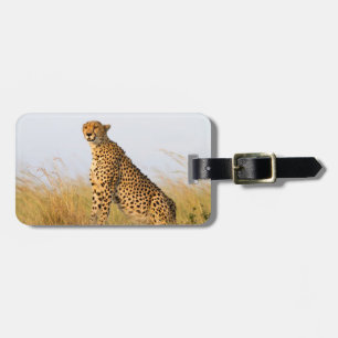 Cheetah wildlife photography Africa Safari animal Luggage Tag