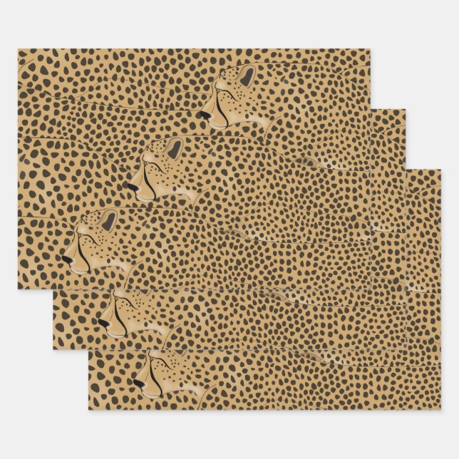 Cheetahs enveloppant des feuilles de papier (Lot)