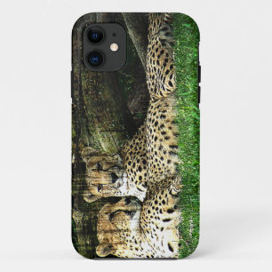 Cheetahs Lounging Grunge iPhone 11 Case