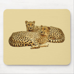 Cheetahs Mouse Pad