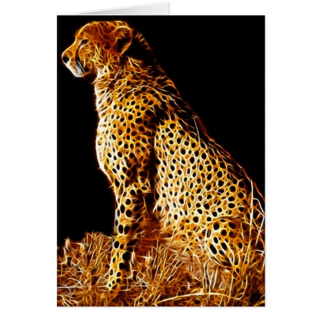 Cheetahs stance (Front)