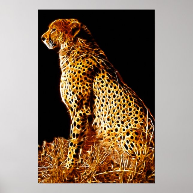 Cheetahs stance poster (Front)