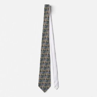 cheetahs tie