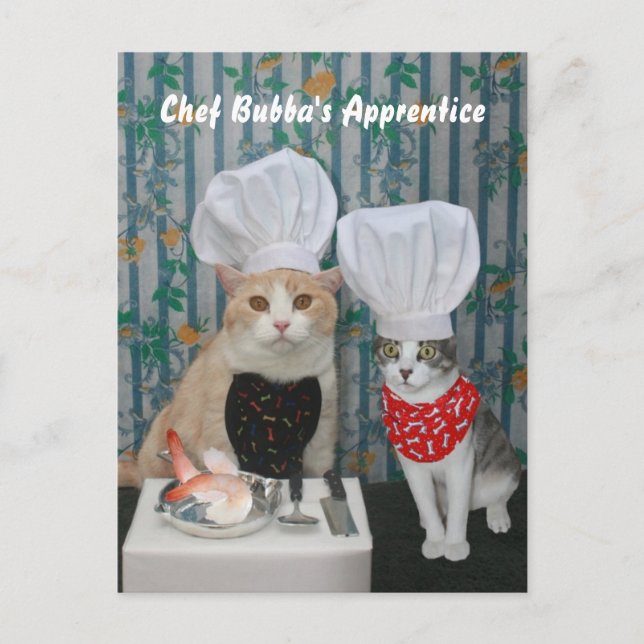 Chef Bubba's Apprentice Postcard (Front)