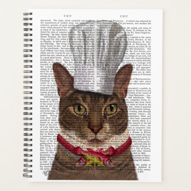 Chef de chat (Devant)