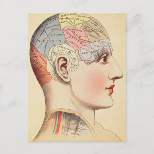 Chef de pharmacologie - Carte postale Vintage