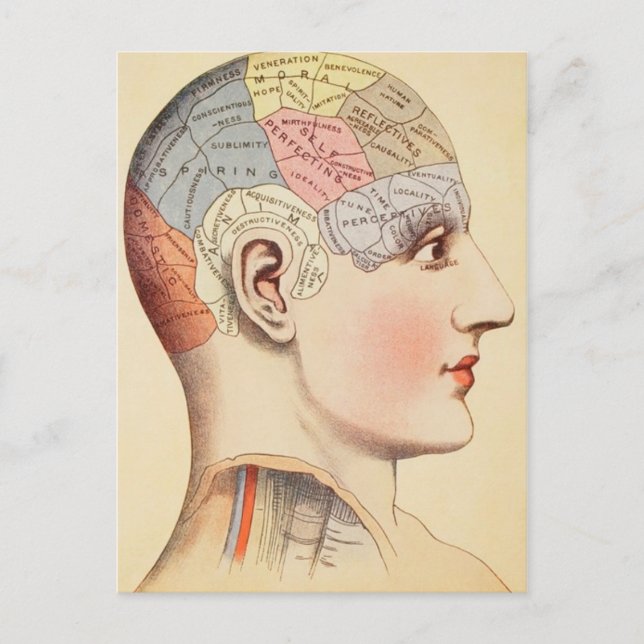Chef de pharmacologie - Carte postale Vintage (Devant)