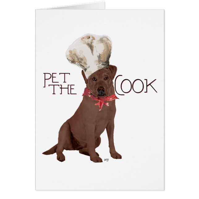 Chef Labrador Retriever Chocolat (Devant)