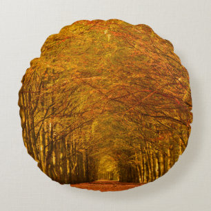Chemin à travers la forêt dans le coussin rond