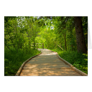 Chemin d'accès en arborescence