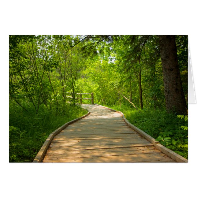 Chemin d'accès en arborescence (Devant Horizontal)