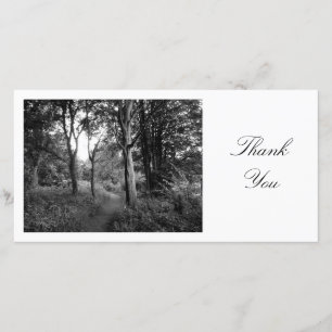 Chemin dans les bois - Merci