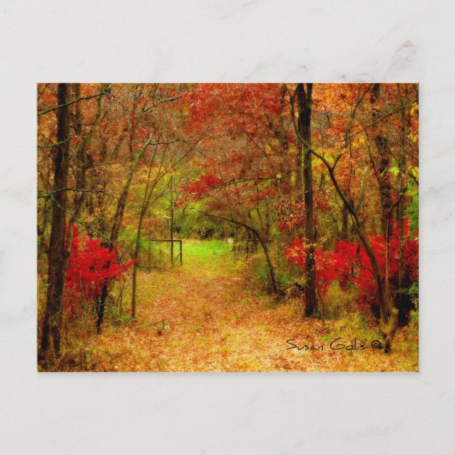 Chemin d'automne dans la forêt Thanksgiving carte  (Devant)