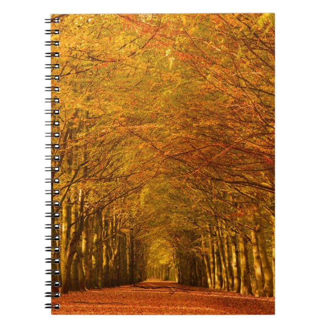Chemin de marche à travers la forêt dans le carnet (Devant)