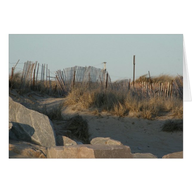 Chemin de plage (Devant Horizontal)