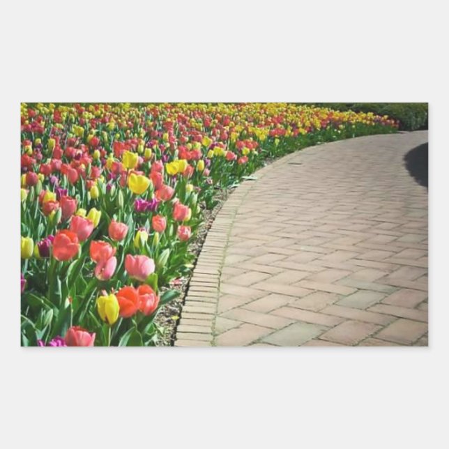 Chemin de tulipe en fleurs - beau autocollant (Devant)