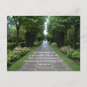 Chemin de vie   Carte postale