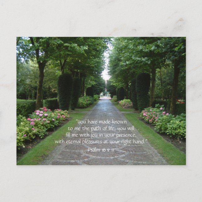 Chemin de vie | Carte postale (Devant)