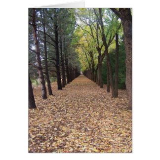 Chemin du Colorado