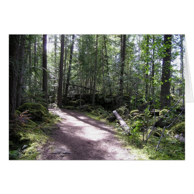 chemin forestier (Devant horizontal)