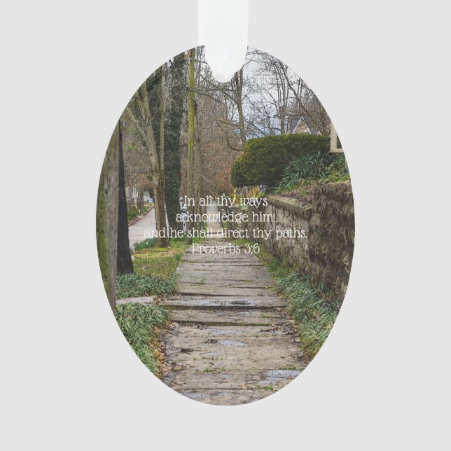 Chemin inégal (devant)