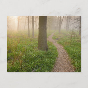 Chemin piétonnier menant à une carte postale de fo