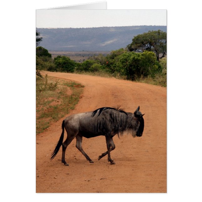 chemin wildebeest (Devant)