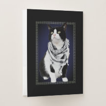 Koufiya Palestinien traditionnel portant un chat