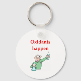 chemistry joke keychain