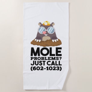 Chemistry - Mole Problems Beach Towel