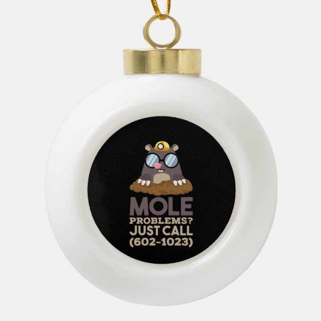 Chemistry - Mole Problems  Ceramic Ball Christmas Ornament (Front)