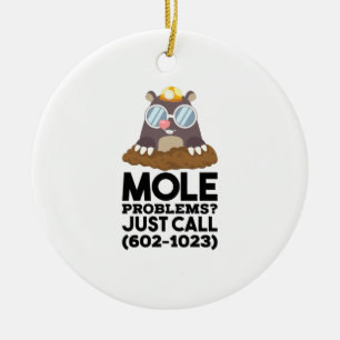 Chemistry - Mole Problems Ceramic Ornament