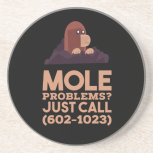 Chemistry - Mole Problems Coaster