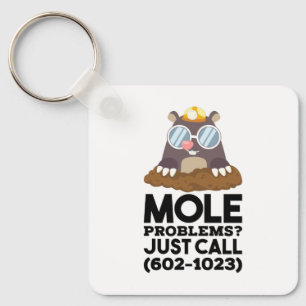 Chemistry - Mole Problems Keychain