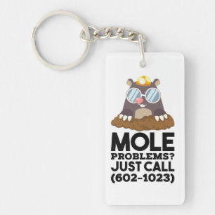 Chemistry - Mole Problems Keychain