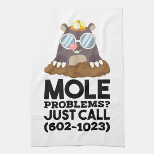 Chemistry - Mole Problems Kitchen Towel