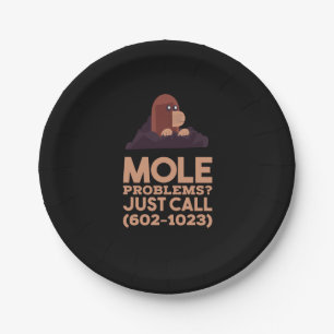 Chemistry - Mole Problems Paper Plate