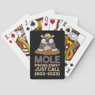 Chemistry - Mole Problems Playing Cards