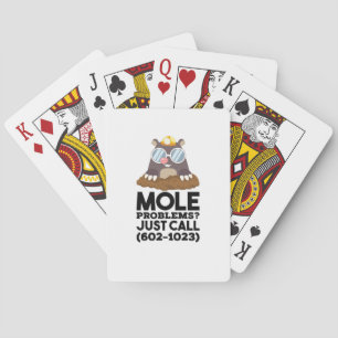 Chemistry - Mole Problems Playing Cards