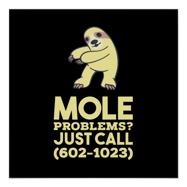 Chemistry - Mole Problems Poster (Front)