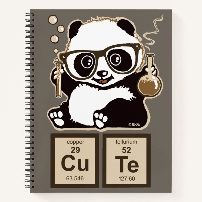 Chemistry panda discovered cute notebook (Front)