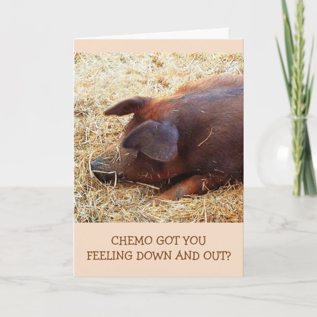 Chemo Encouragement Funny Pig Card (Front)